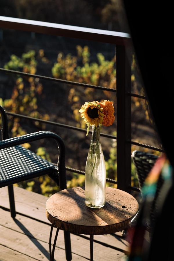 Bed and Breakfast Uvauva Eco-Retreat Valle de Guadalupe Zewnętrze zdjęcie