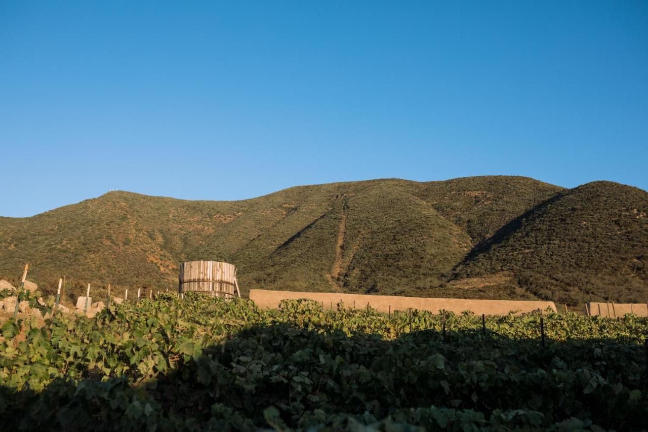 Bed and Breakfast Uvauva Eco-Retreat Valle de Guadalupe Zewnętrze zdjęcie
