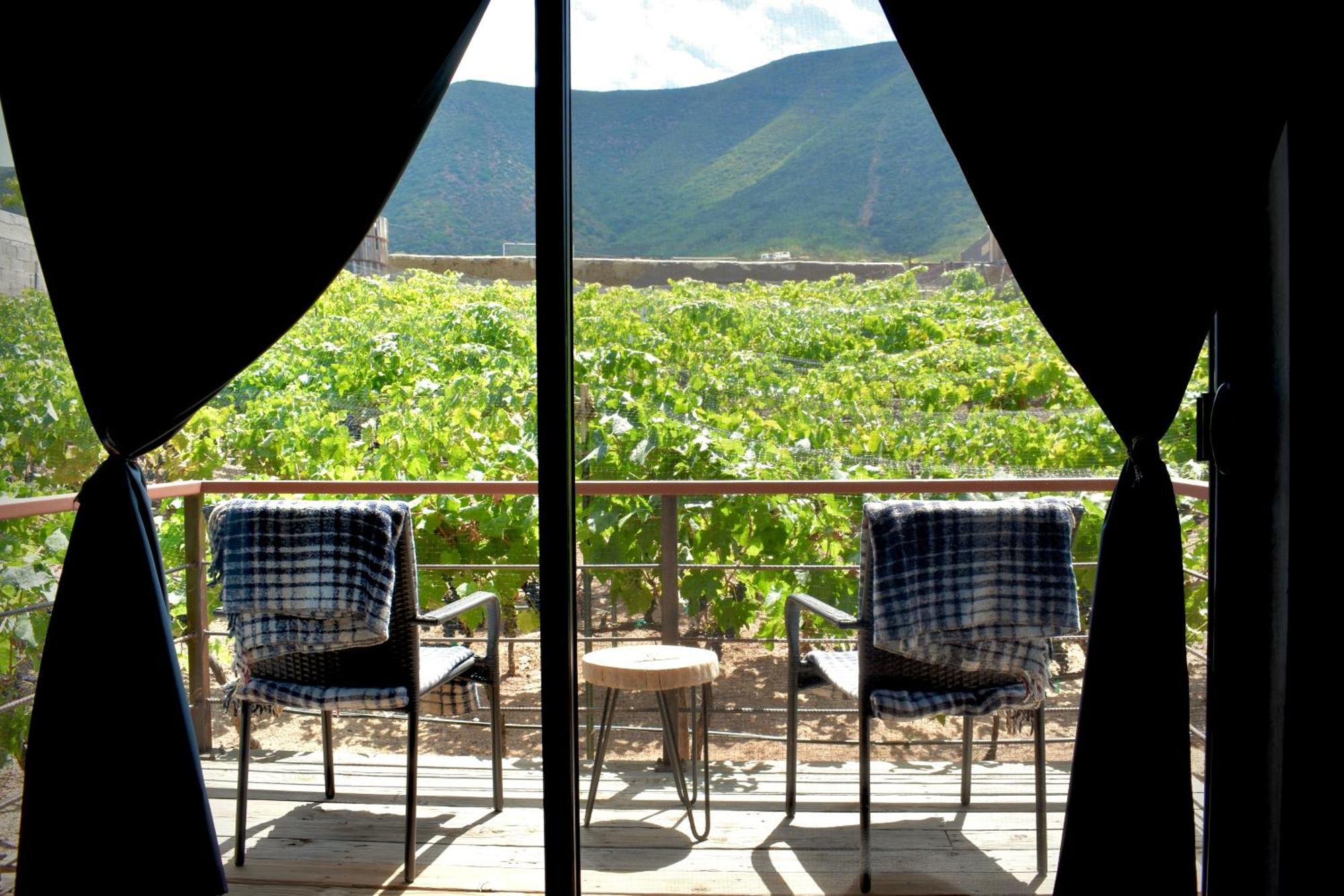 Bed and Breakfast Uvauva Eco-Retreat Valle de Guadalupe Zewnętrze zdjęcie