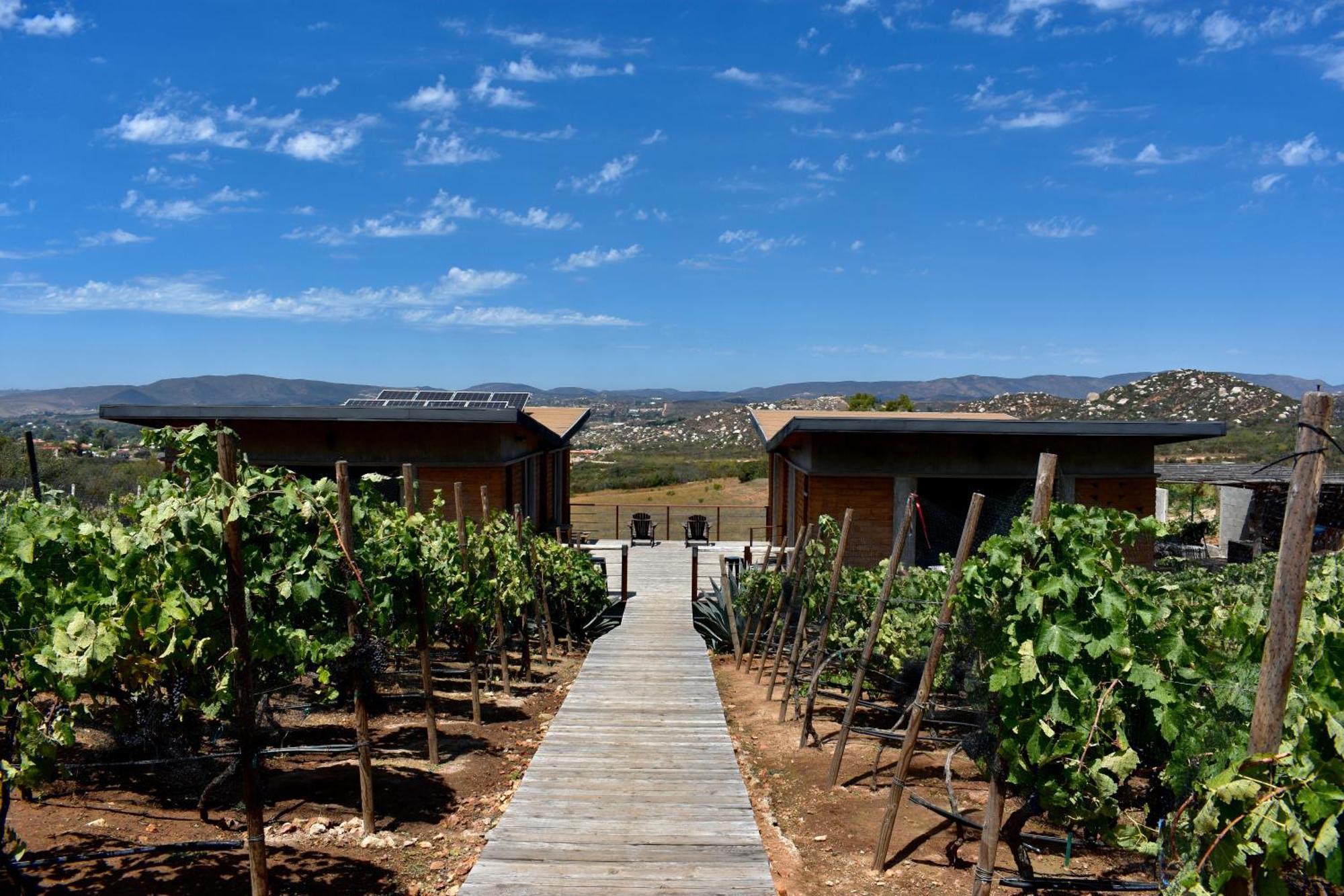 Bed and Breakfast Uvauva Eco-Retreat Valle de Guadalupe Zewnętrze zdjęcie